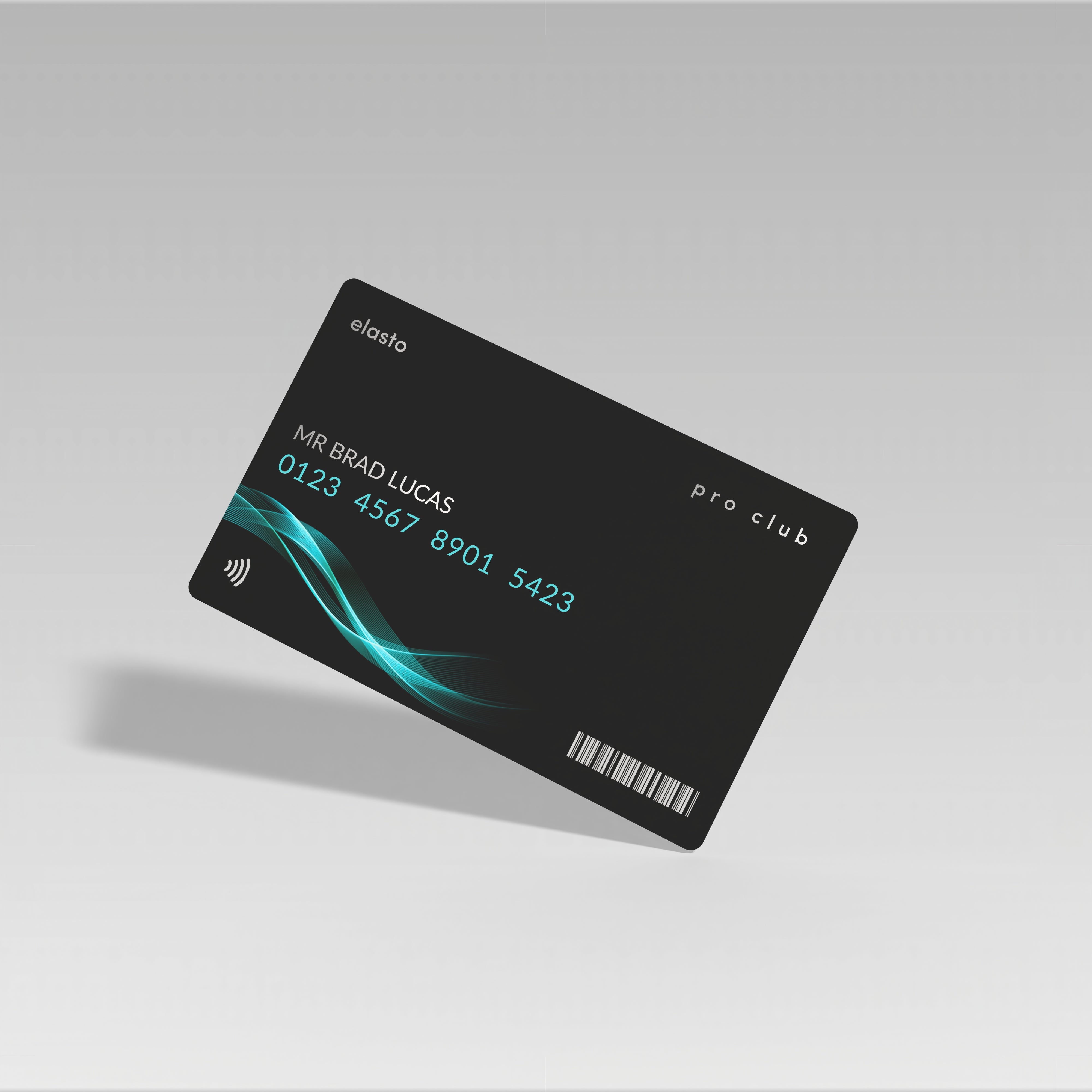 VIP Membership Programme