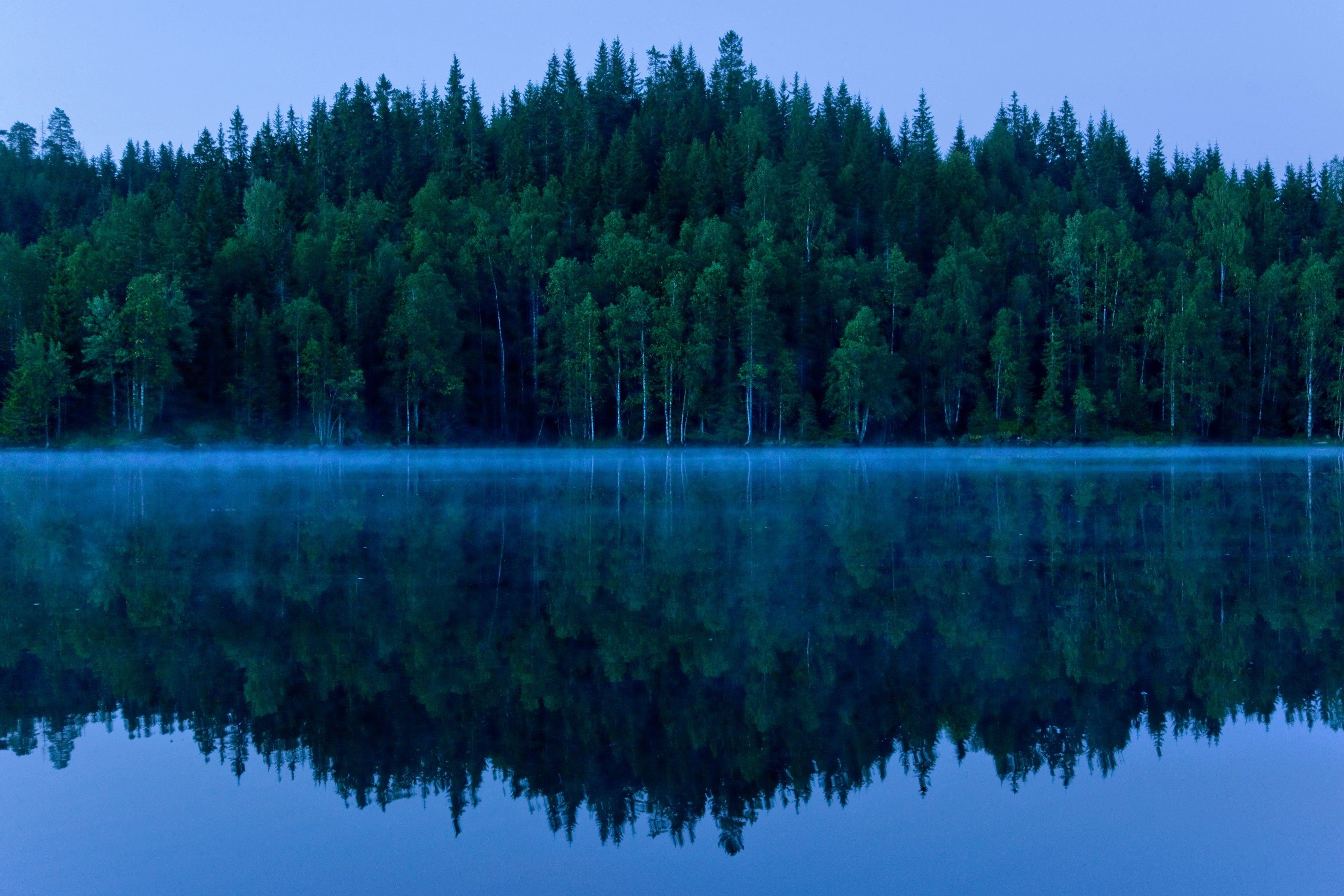 aerial-view-of-an-idyllic-lake-surrounded-by-lush-2026-03-09-02-59-11-utc.jpg