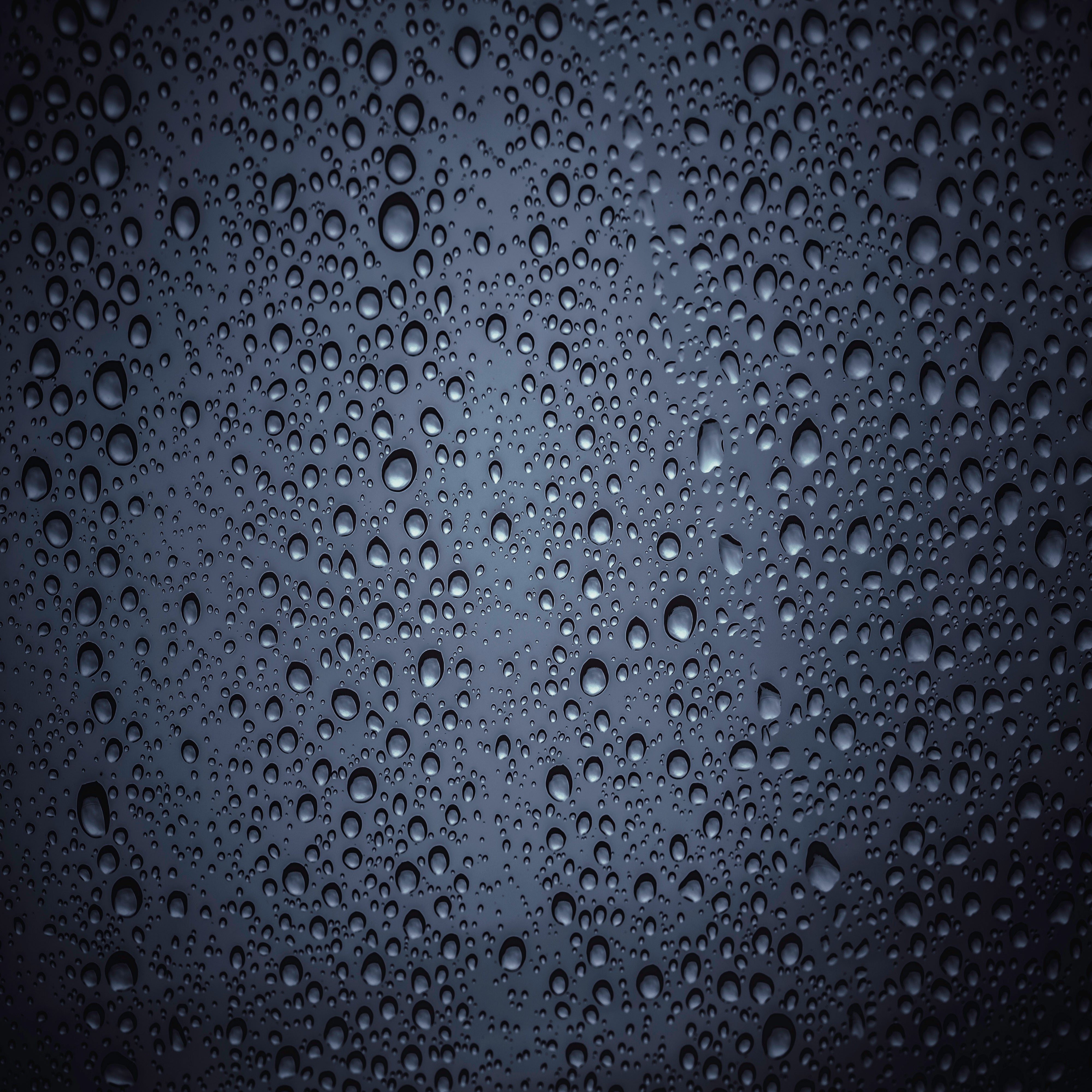 water-droplets-on-a-dark-surface-2026-01-11-09-52-12-utc.jpg